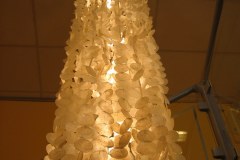 IMG_3386