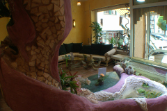 IMGP3736