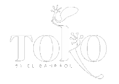 Toko Design